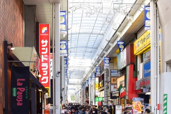 アカナドッグフードの取扱店を厳選調査!ホームセンターなどの店舗で買える?